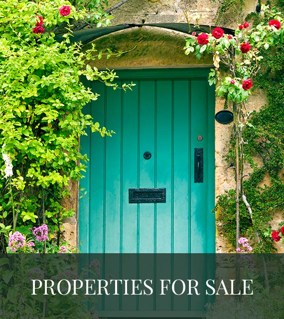 Properties For Sale